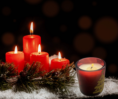 Christmas Candle Single Wick 3.5 oz Jar | Terreux Mind