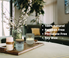 White Oak & Vanilla Soy Candle - 8.5 oz Luxe Glass, Cotton Wick | Terreux Mind